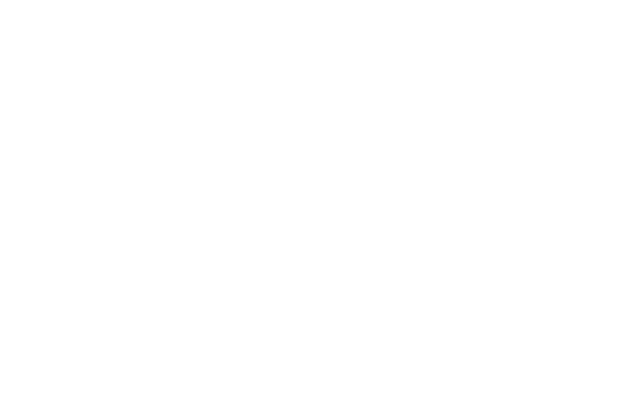 Wmetal Logo